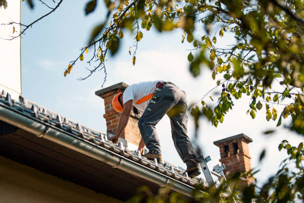 Best Roof Ventilation Installation  in Knox, IN