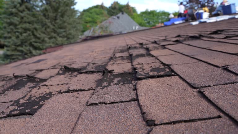 Best Hot Roofs  in Knox, IN