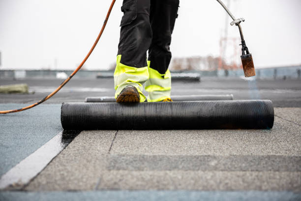 Best Roof Maintenance and Cleaning  in Knox, IN